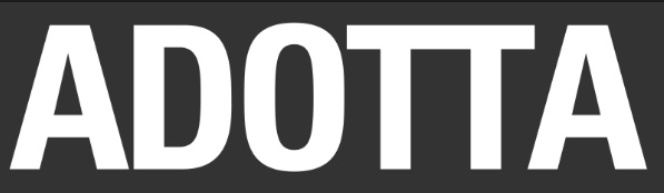 My Website